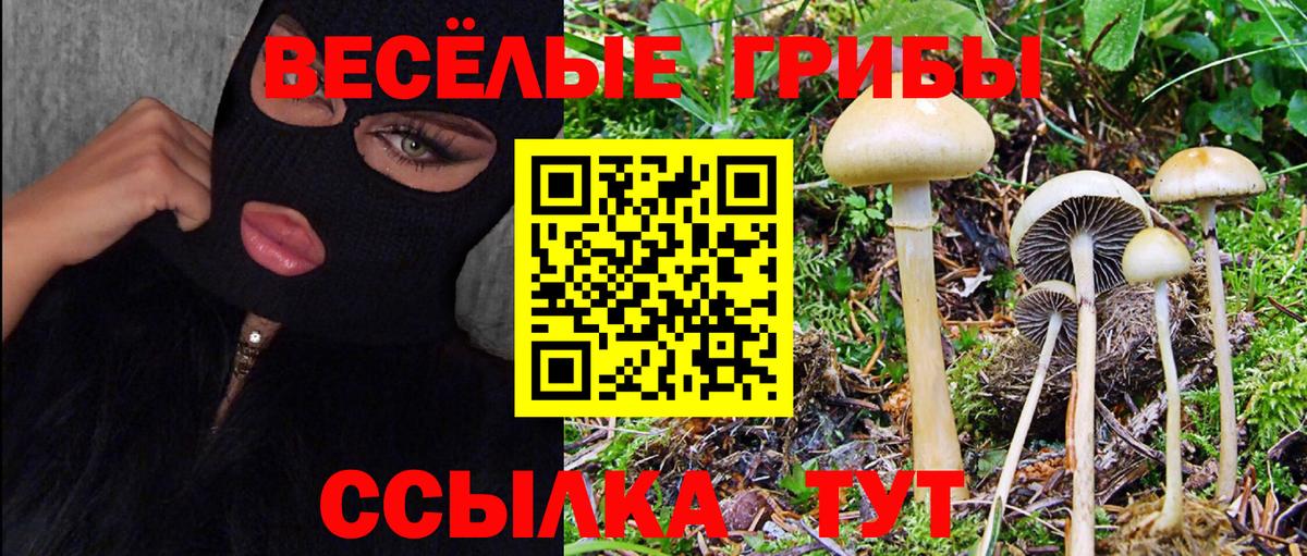 Псилоцибиновые грибы Cubensis  Вход с VPN  Сыктывкар  Псилоцибиновые грибы мухоморы 