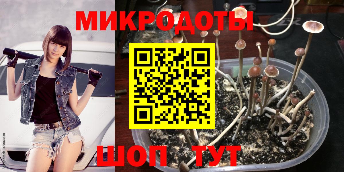 Галлюциногенные грибы MAGIC MUSHROOMS Сыктывкар
